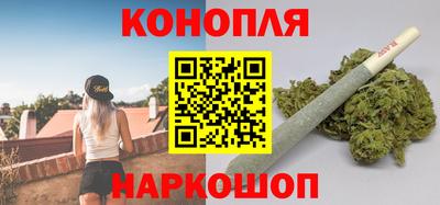 spice Гай