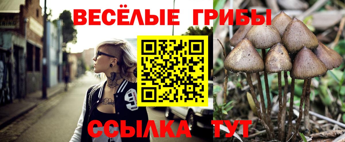 Алейск  Галлюциногенные грибы мухоморы  Вход с VPN  Галлюциногенные грибы ЛСД 
