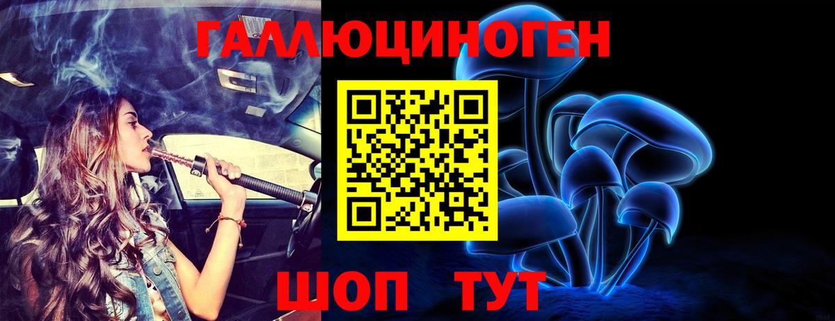 Алейск  Псилоцибиновые грибы MAGIC MUSHROOMS  Вход с VPN 