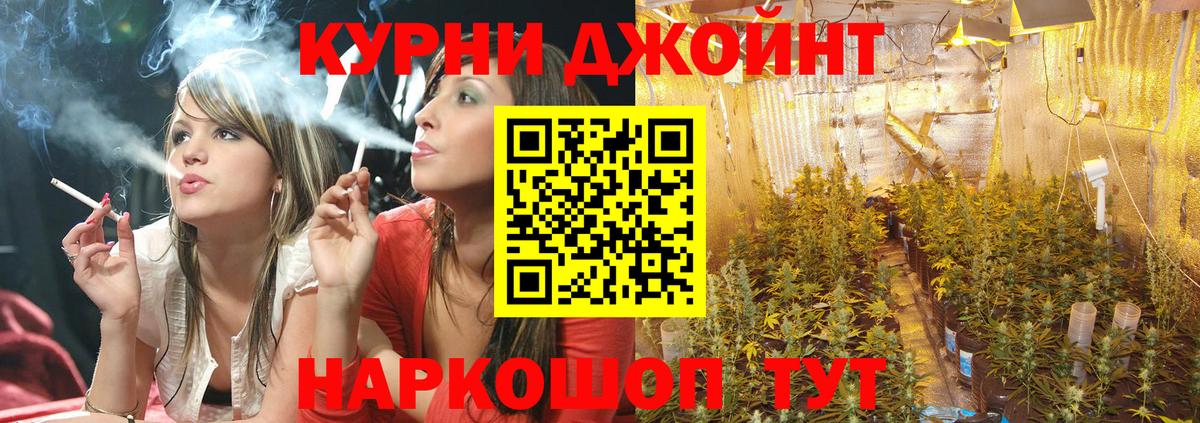 Конопля OG Kush  Бошки Шишки семена  Бошки марихуана ГИДРОПОН  Вход с VPN  Каннабис семена  Алейск 